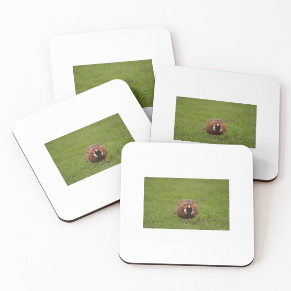 Item preview, cool pheasant image designed and sold by ETstickerz.
