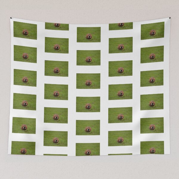 Item preview, cool pheasant image designed and sold by ETstickerz.