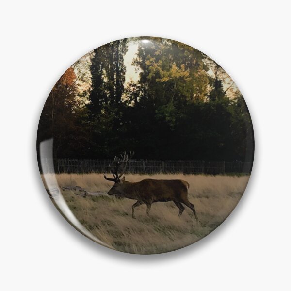 Item preview, England -Bushy Park- Deer designed and sold by joabaj.