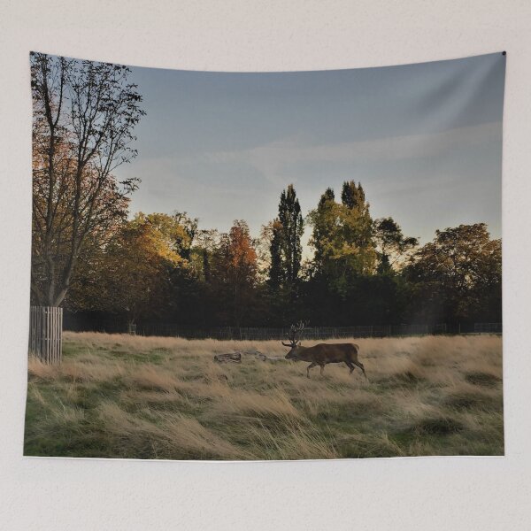 Item preview, England -Bushy Park- Deer designed and sold by joabaj.