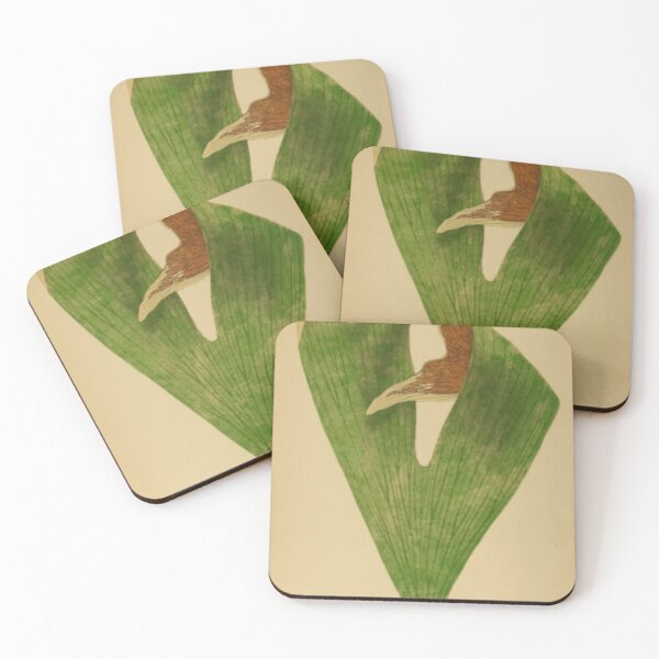 Item preview, Staghorn Fern designed and sold by BlueSpecsStudio.