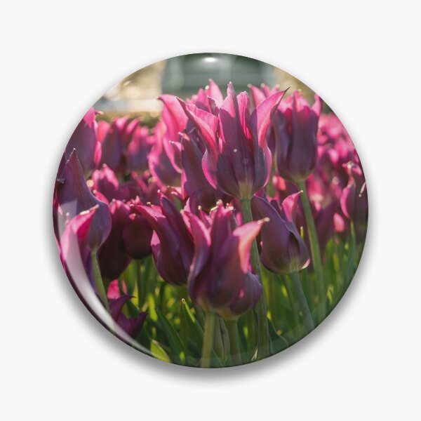 Item preview, Purple Tulips designed and sold by Praytera.