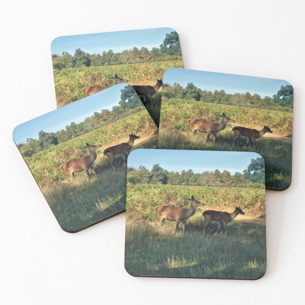 Item preview, England -Bushy Park- Deer Roe designed and sold by joabaj.