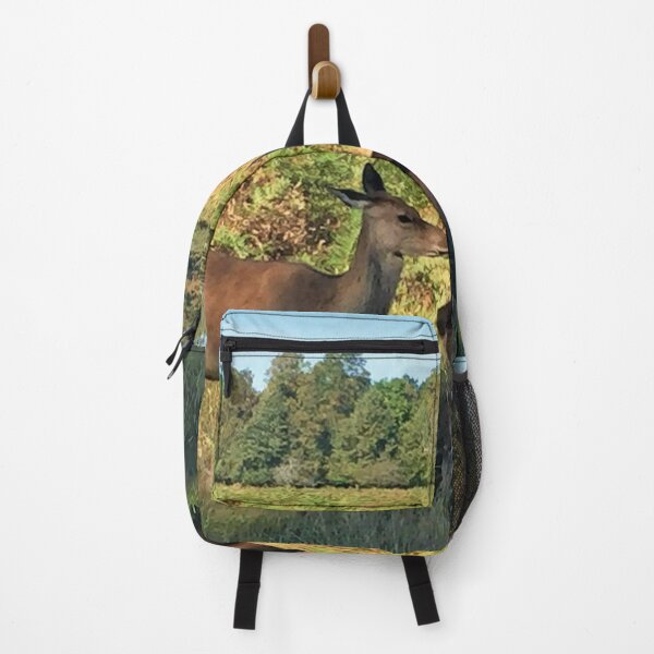 Item preview, England -Bushy Park- Deer Roe designed and sold by joabaj.
