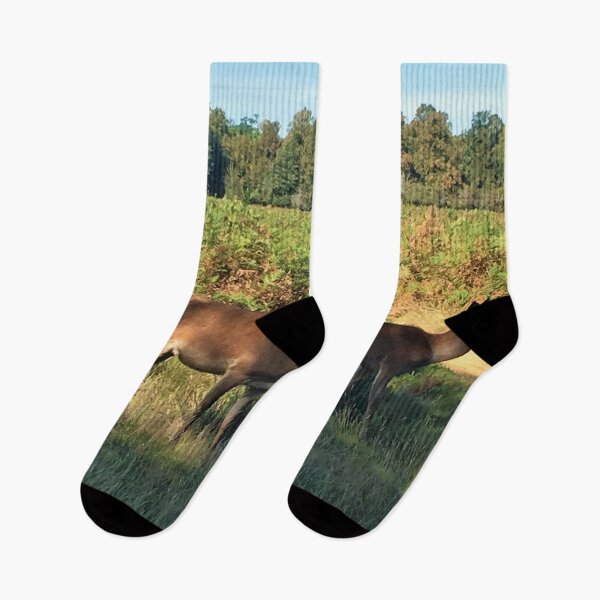 Item preview, England -Bushy Park- Deer Roe designed and sold by joabaj.