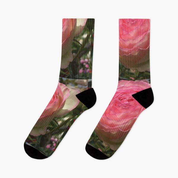 Item preview, Roses, Divine - Pierre de Ronsard, Summer at the RTBG, nipaluna designed and sold by RoseAromas.