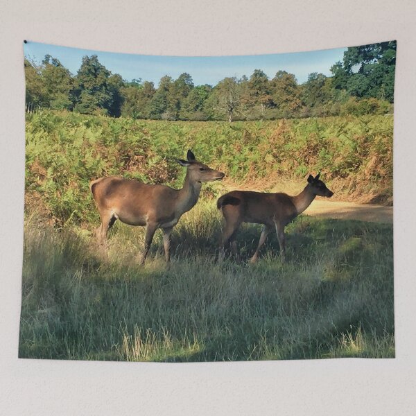 Item preview, England -Bushy Park- Deer Roe designed and sold by joabaj.