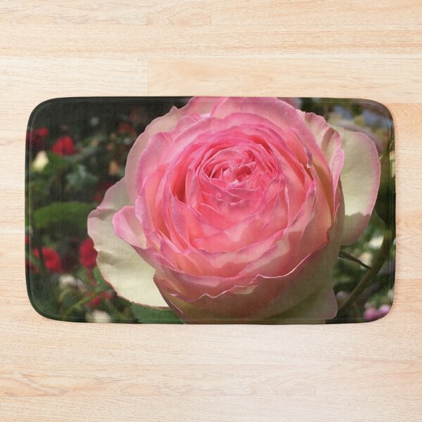 Item preview, Roses, Divine - Pierre de Ronsard, Summer at the RTBG, nipaluna designed and sold by RoseAromas.