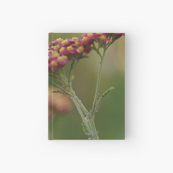 Red Yarrow Hardcover Journal