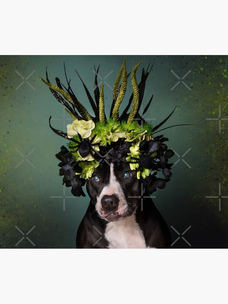 Flower Power, Darla by SophieGamand