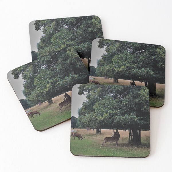 Item preview, England -Bushy Park- Funny Deer designed and sold by joabaj.