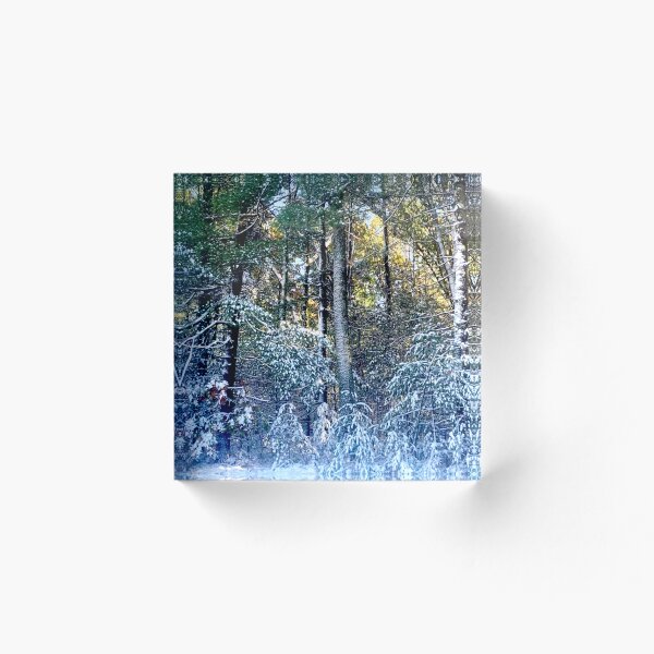 Artikelvorschau, Ein Herbstschnee entworfen und verkauft von eevee135.