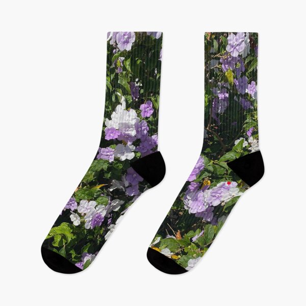 Item preview, Beautiful Floral of Brunfelsia Pauciflora aka Manaca designed and sold by JDMHoney.