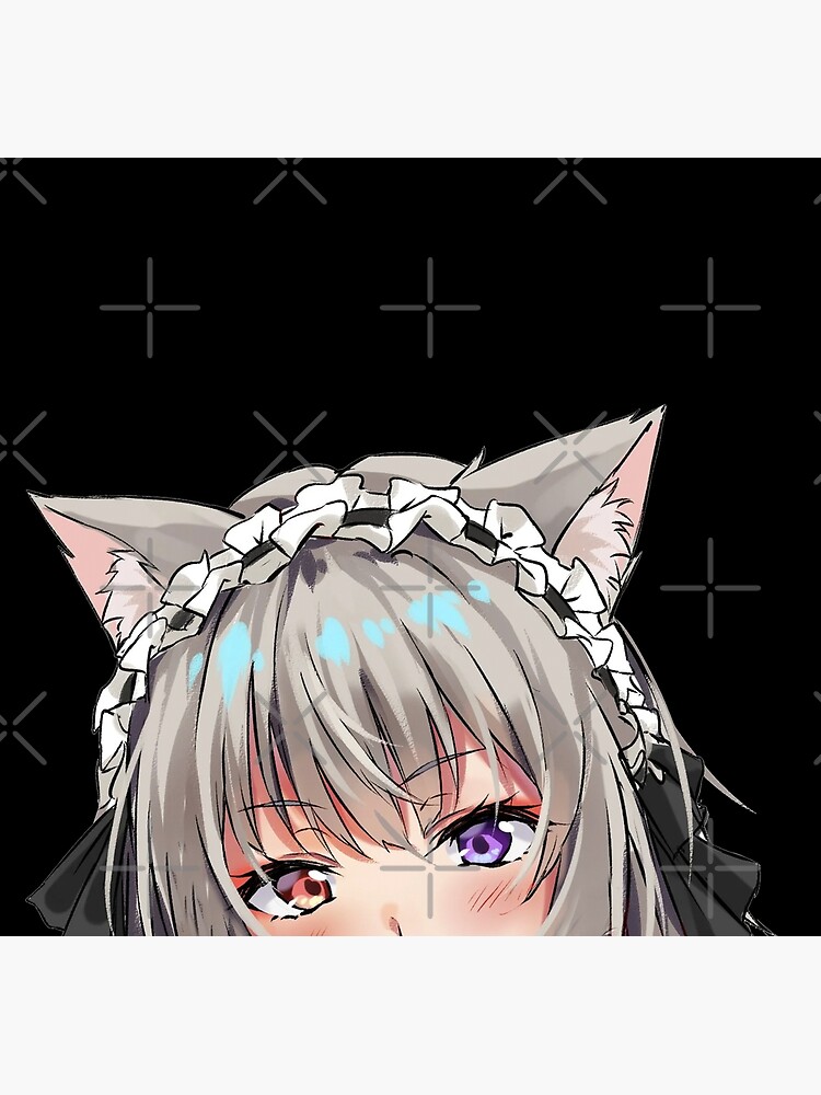 Female Anime Character Holding Cat Wallpaper, Anime Girls, Fox Girl, Animal  Ears - Wallpaperforu
