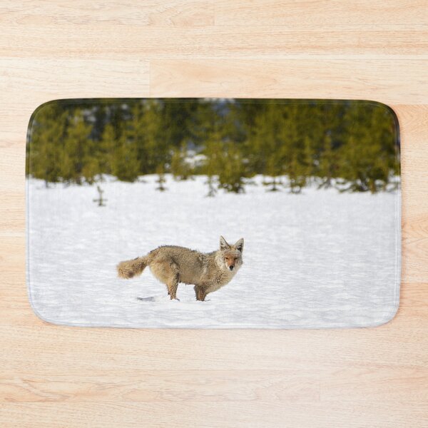 Item preview, Coyote in Snow with Trees, Wild Coyote, Animal in Snow, Snow in Yellowstone, Animal in Yellowstone designed and sold by naturecdesigns.