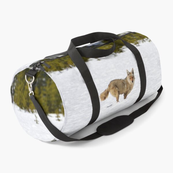 Item preview, Coyote in Snow with Trees, Wild Coyote, Animal in Snow, Snow in Yellowstone, Animal in Yellowstone designed and sold by naturecdesigns.