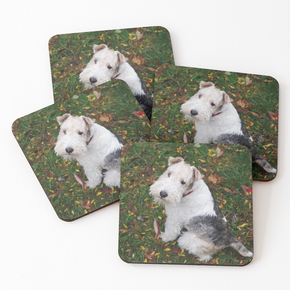 Yes? Was There Something You Wanted? Coasters (Set of 4)