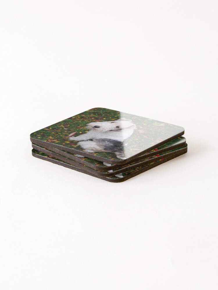 Alternate view of Yes? Was There Something You Wanted? Coasters (Set of 4)