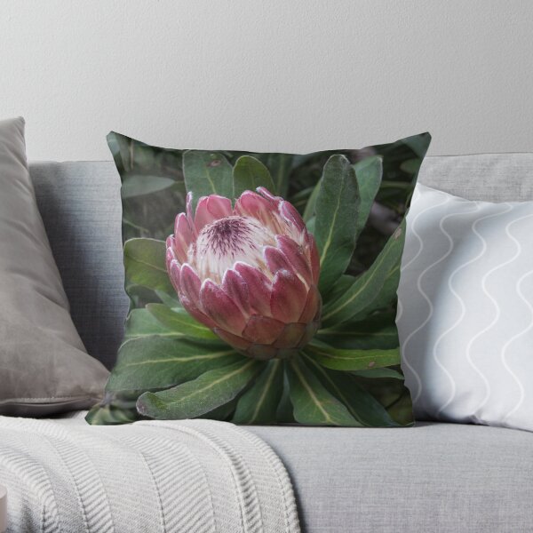 Beautiful Flowers|Protea Flower|Photography Throw Pillow