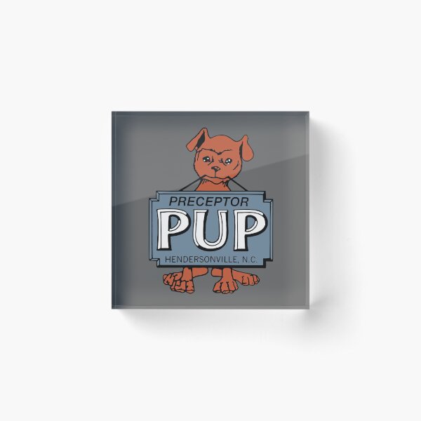 Preceptor Ultra Pup Airplane WHITE LETTERS Acrylic Block