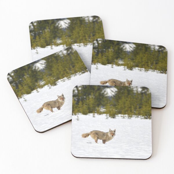Item preview, Coyote in Snow with Trees, Wild Coyote, Animal in Snow, Snow in Yellowstone, Animal in Yellowstone designed and sold by naturecdesigns.