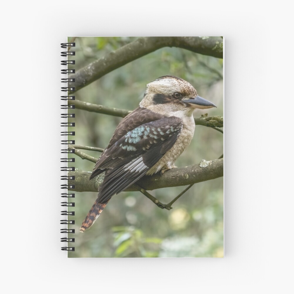 Item preview, Spiral Notebook designed and sold by barrycallister.