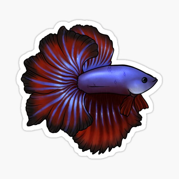 Item preview, Red and Blue Halfmoon Betta designed and sold by BisCoral.