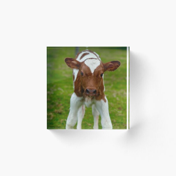 Item preview, Day one  designed and sold by garytresize.