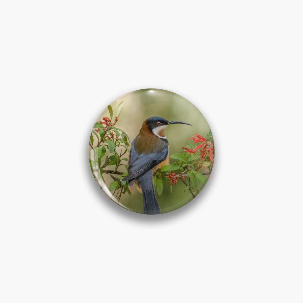 Item preview, Pin designed and sold by barrycallister.