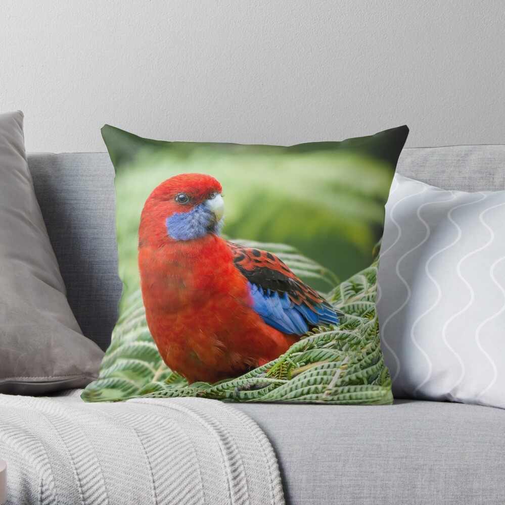 Item preview, Throw Pillow designed and sold by barrycallister.