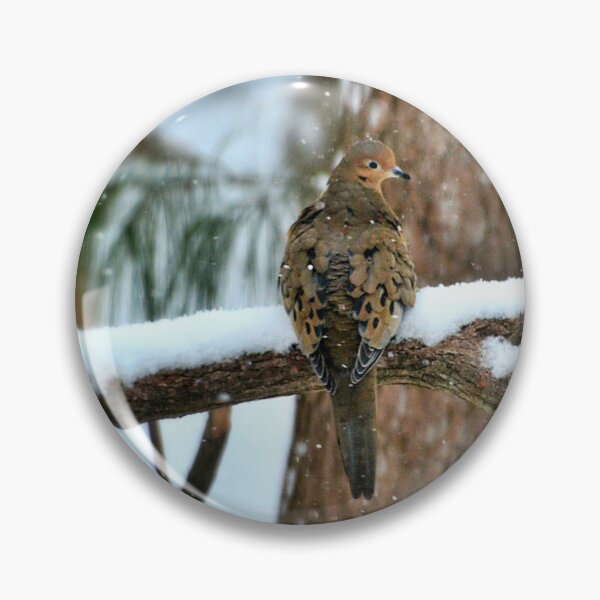 Item preview, Bird on Snowy Branch, Female Bird in Winter designed and sold by naturecdesigns.