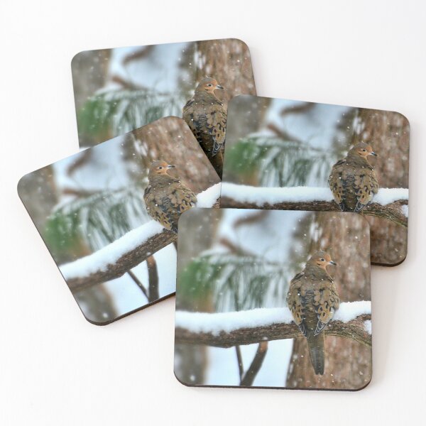 Item preview, Bird on Snowy Branch, Female Bird in Winter designed and sold by naturecdesigns.