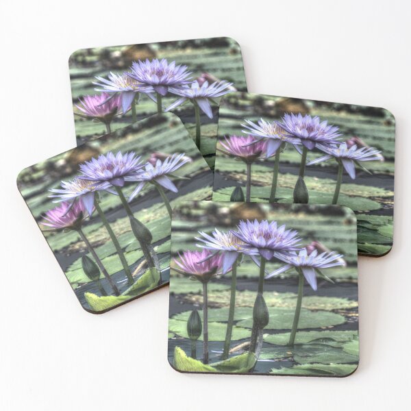Item preview, Flowers on the Lili Pads designed and sold by Blackadder Photography.