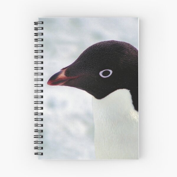 Item preview, Adelie Penguin Portrait, Cape Adare, Antarctica designed and sold by Carole-Anne.