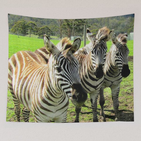 Item preview, Friendly Zebras designed and sold by Felicity-K.
