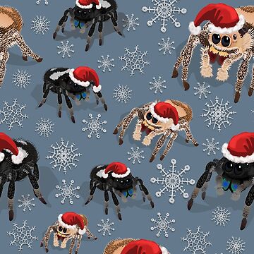 Artwork thumbnail, Holiday Regal Jumping Spider Phidippus Regius by Stormslegacy