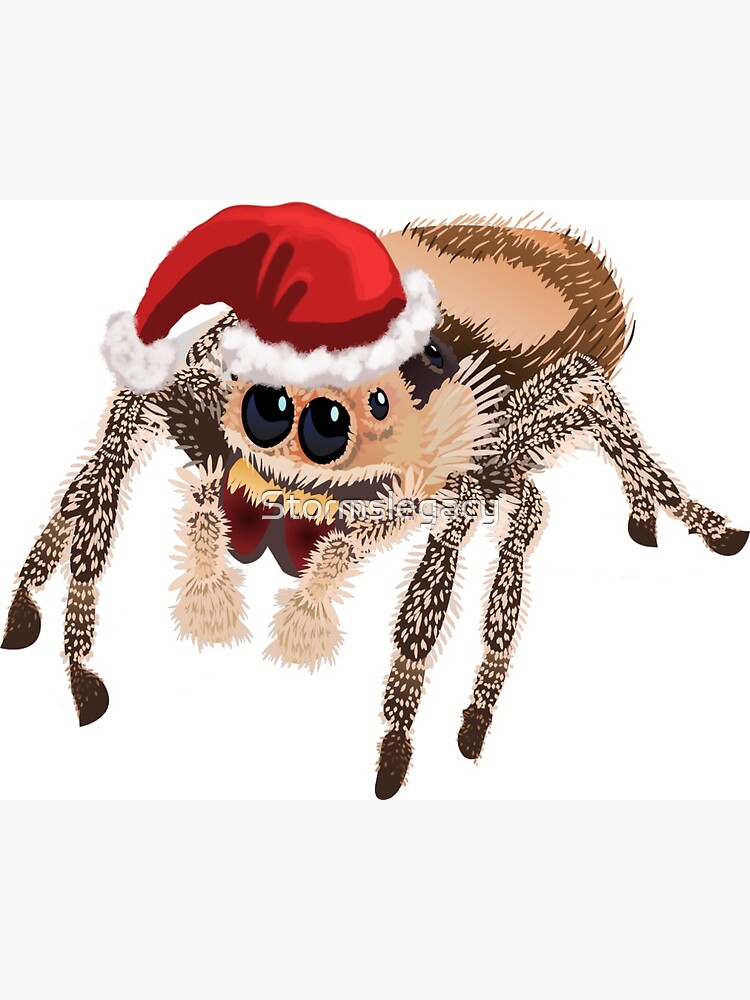 Thumbnail 3 of 3, Sticker, Holiday Regal Jumping Spider Phidippus Regius designed and sold by Stormslegacy.