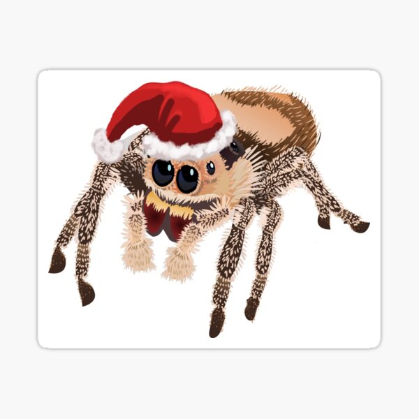 Item preview, Holiday Regal Jumping Spider Phidippus Regius  designed and sold by Stormslegacy.