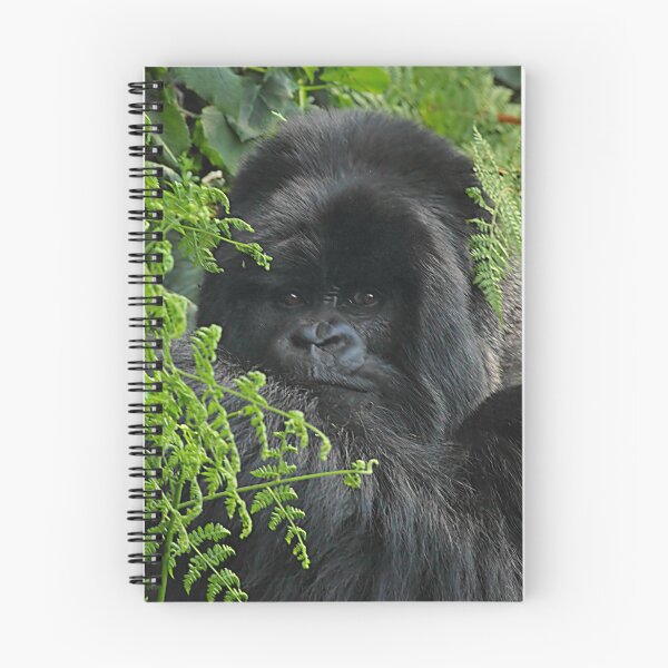 Item preview, Hirwa, Silver Back Male Mountain Gorilla designed and sold by Carole-Anne.