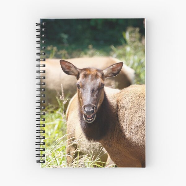 Item preview, Talking elk designed and sold by eyes4nature.
