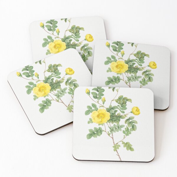 Item preview, Les Roses by Pierre-Joseph Redouté designed and sold by EsotericBotanic.