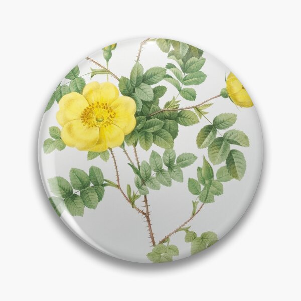 Item preview, Les Roses by Pierre-Joseph Redouté designed and sold by EsotericBotanic.