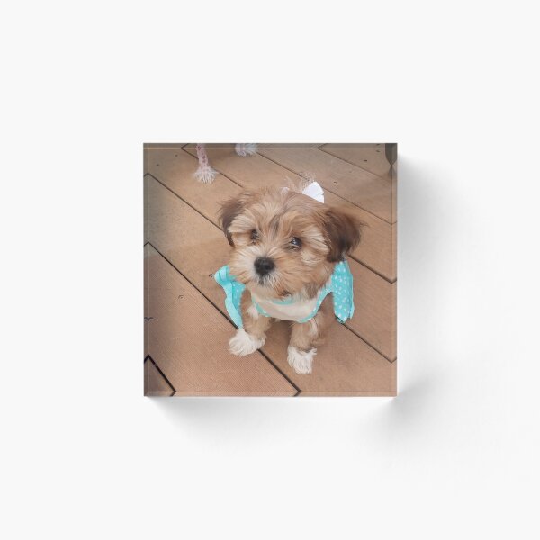 Artikelvorschau, Vivi2 entworfen und verkauft von Abbeyviolet.