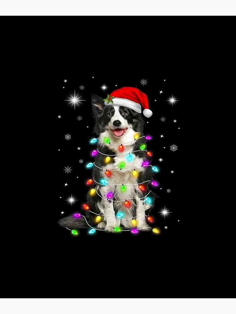 border collie christmas light