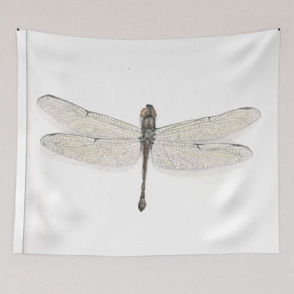 Item preview, Scientific Dragonfly Illustration designed and sold by Collette Castleford.