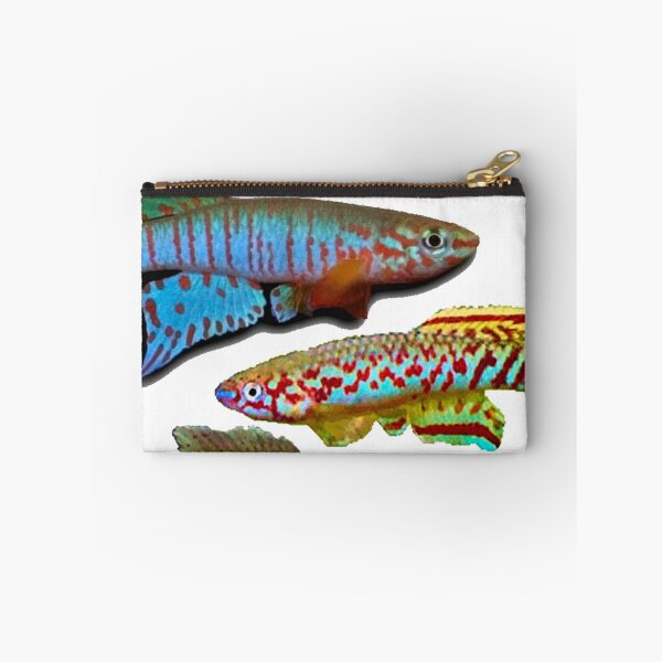 Item preview, 4 African Killifish designed and sold by killies.