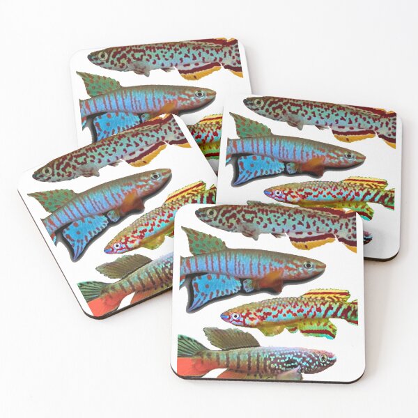 Item preview, 4 African Killifish designed and sold by killies.