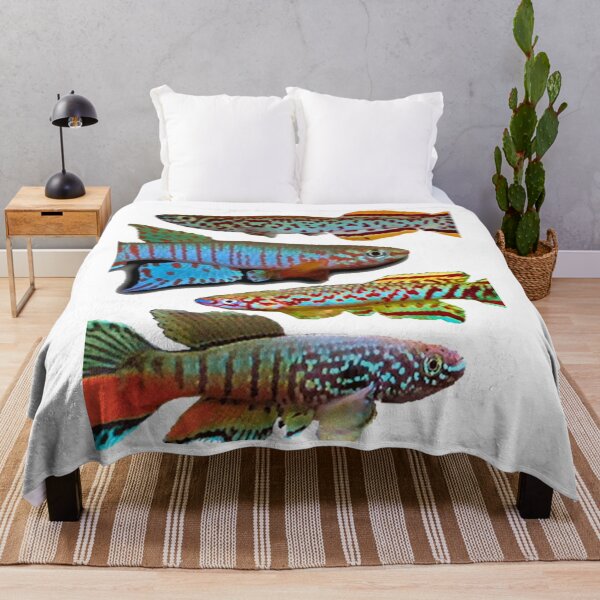 Item preview, 4 African Killifish designed and sold by killies.