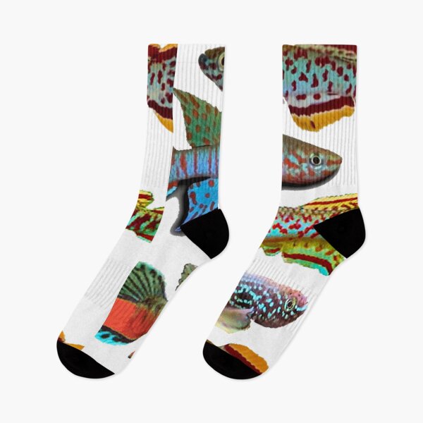 Item preview, 4 African Killifish designed and sold by killies.
