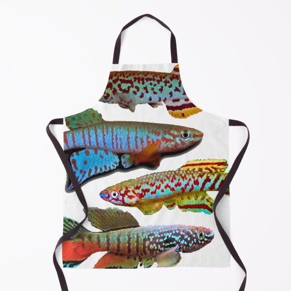 Item preview, 4 African Killifish designed and sold by killies.